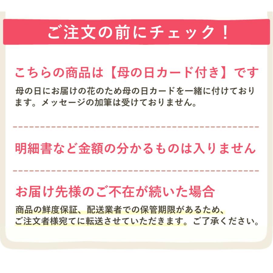 【母の日ギフト5/6-5/11に発送】花 ギフト プレゼント 花とフルーツセット カーネーション 鉢植え 佐藤錦 さくらんぼ 100g　2個入り｜tokusanya｜11