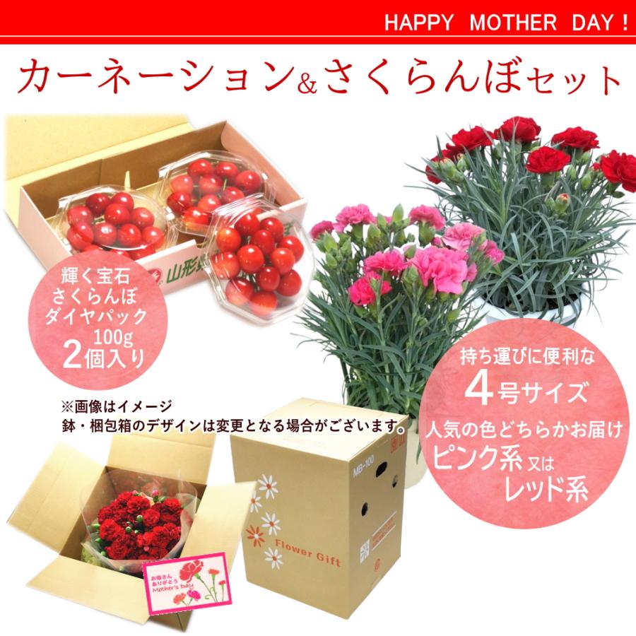 母の日ギフト5/4-5/9に発送】カーネーション ピンク系又はレッド系 花