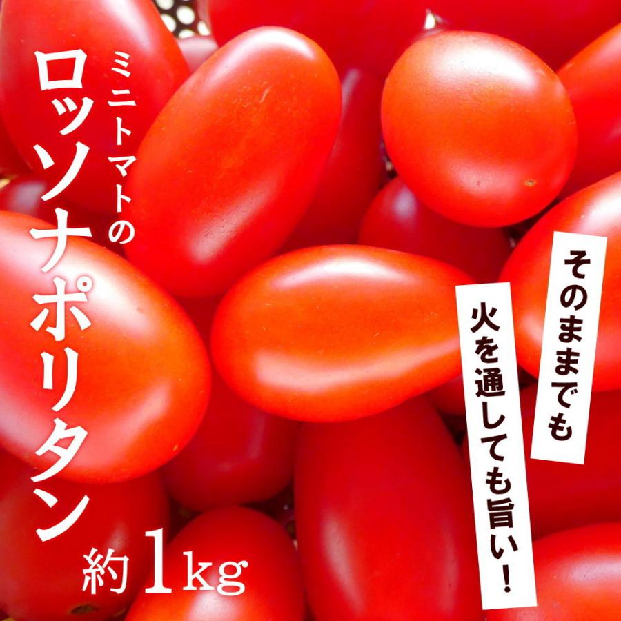 トマト ミニトマト ロッソナポリタン 1kg イタリアントマト フルーツ