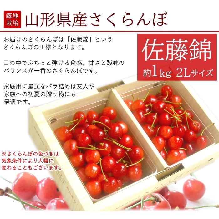さくらんぼ MG_4030s.jpg?v=1710752724&