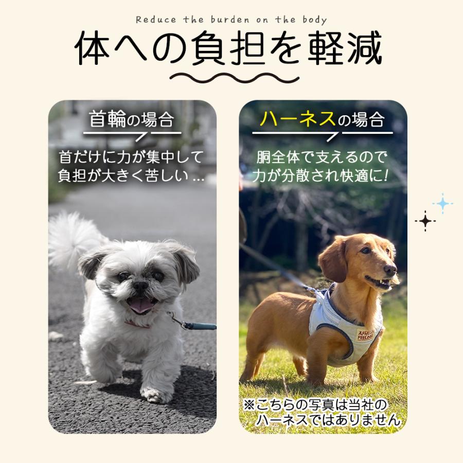 ハーネス＆リードセット ハーネス ラクチン 犬 猫 おしゃれ 胴輪
