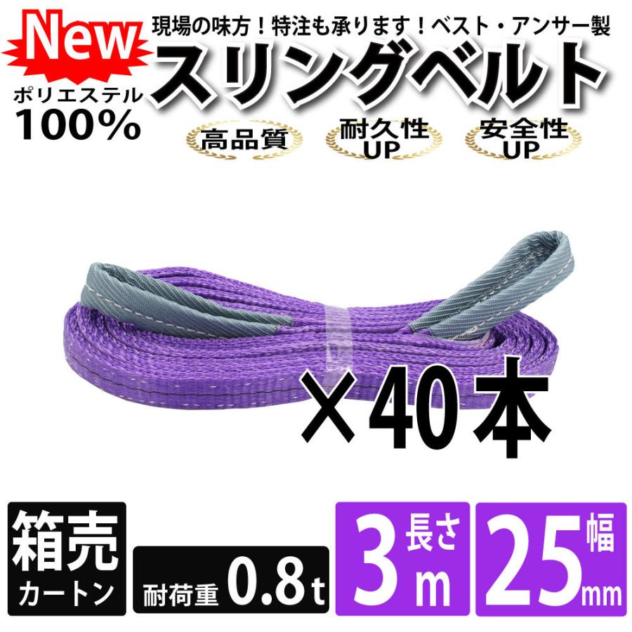 スリングベルト 3m 800kg 25mm ベルトスリング 玉掛け 40本 引っ越し 大量 吊り具 荷重表 種類 運搬用ベルト 運搬用スリング 吊具