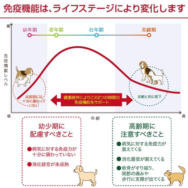 バリアサプリ ドッグ アダルト・シニア 500g : いいもの壱番館 - 通販