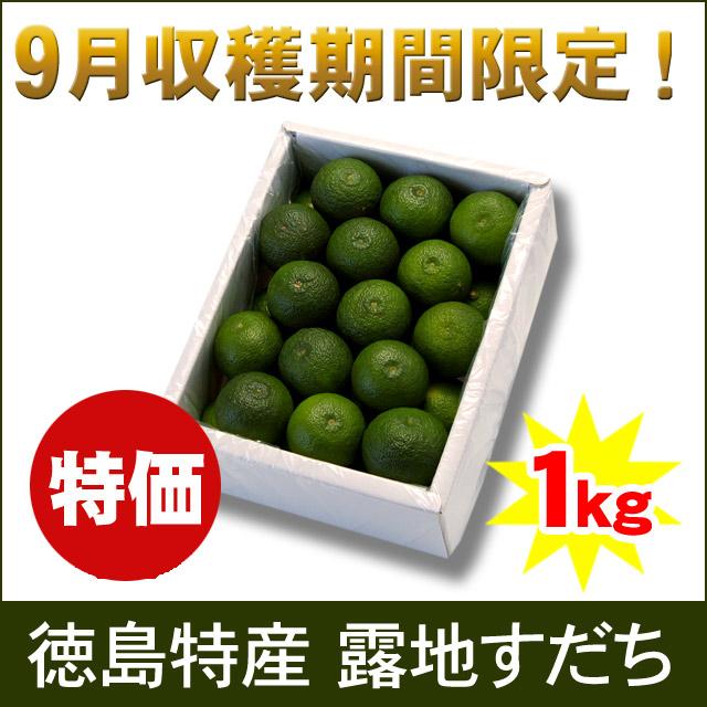 露地スダチ(二級品) 箱込み10kg 【公式通販】