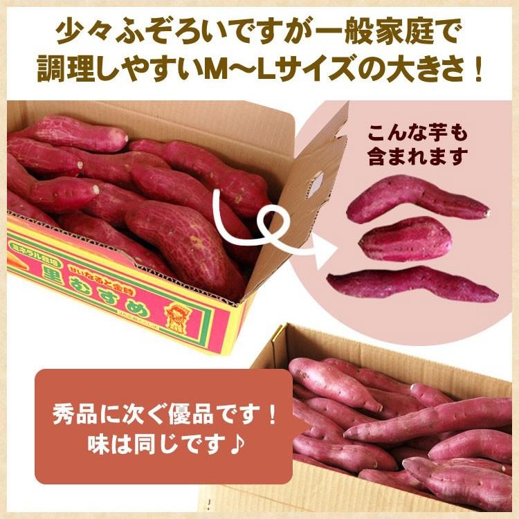 さつまいも なると金時 里むすめ 自家用10kg（5kg×2箱）徳島県鳴門市里浦町産 国産 野菜 送料無料 同梱不可｜tokushima-shop｜03