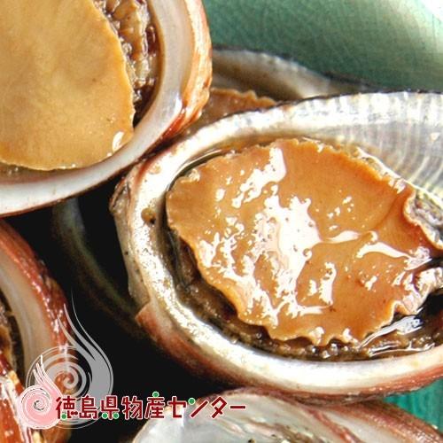 貝付 流子 味付缶詰 (とこぶし) 6缶 角田商店 徳島 送料無料（1缶約10〜12粒が目安です）