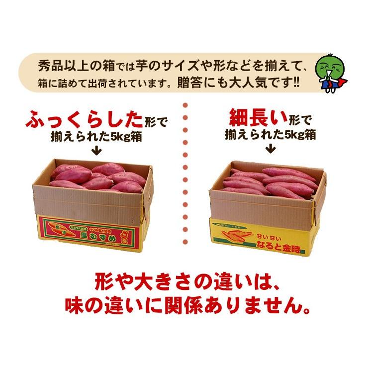 送料無料 なると金時 里むすめ 秀品 5kg 箱入 徳島県産 鳴門金時 芋 さつまいも :GI4NAR4:徳島県物産センター - 通販 - Yahoo!ショッピング 送料無料 なると金時 里むすめ 秀品 5kg 箱入 徳島県産 鳴門金時 芋 さつまいも :GI4NAR4:徳島県物産センター - 通販 - Yahoo!ショッピング