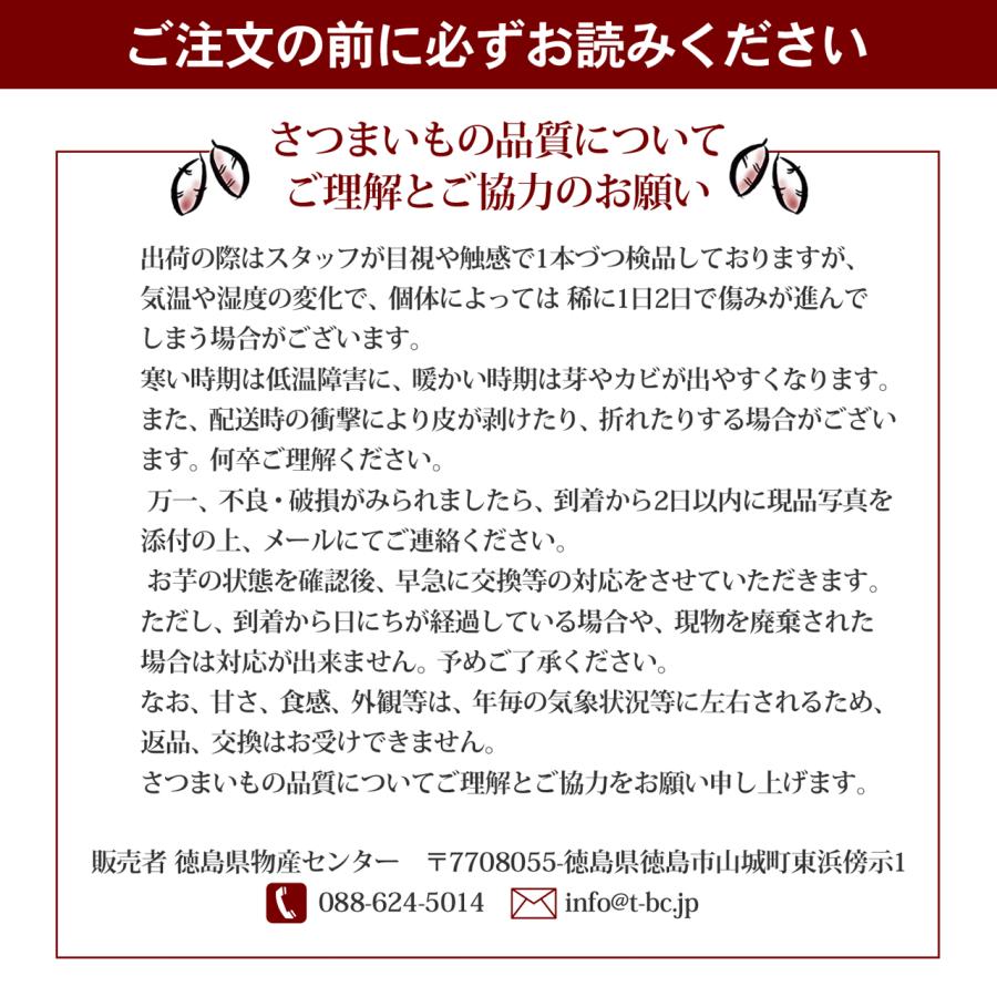 2026年夏収穫 販売開始 さつまいも なると金時 5kg 秀品 箱入 人気のM