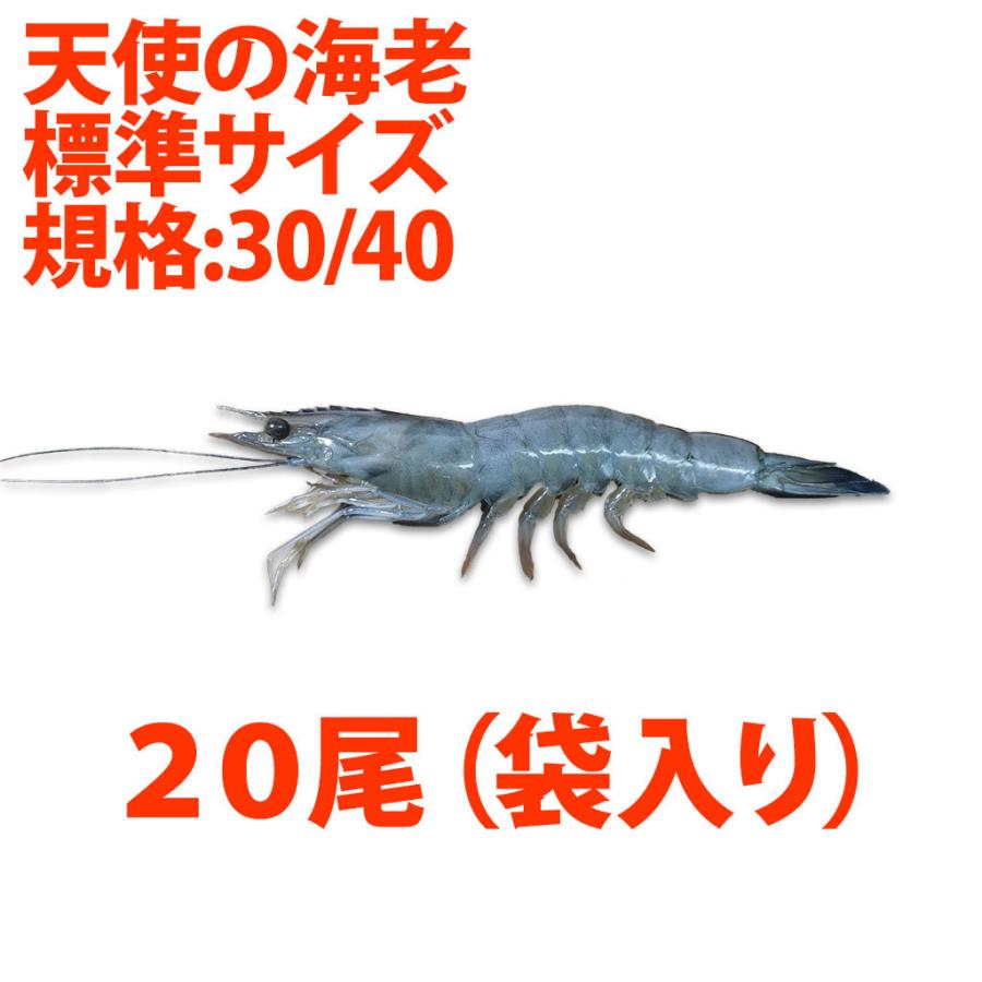 天使の海老 標準サイズ20尾小分け(規格:30/40) :001106-2:特正 - 通販 - Yahoo!ショッピング 天使の海老 標準サイズ20尾小分け(規格:30/40) :001106-2:特正 - 通販 - Yahoo!ショッピング