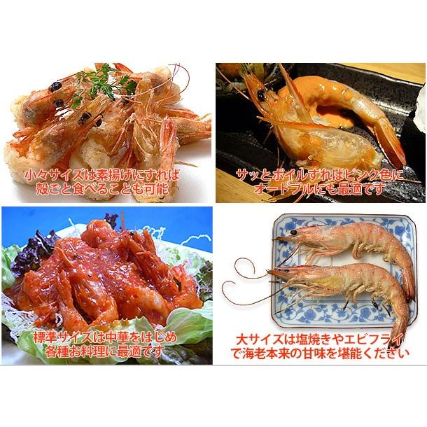 天使の海老 標準サイズ10尾小分け(規格:30/40) :001106-3:特正 - 通販 - Yahoo!ショッピング 天使の海老 標準サイズ10尾小分け(規格:30/40) :001106-3:特正 - 通販 - Yahoo!ショッピング