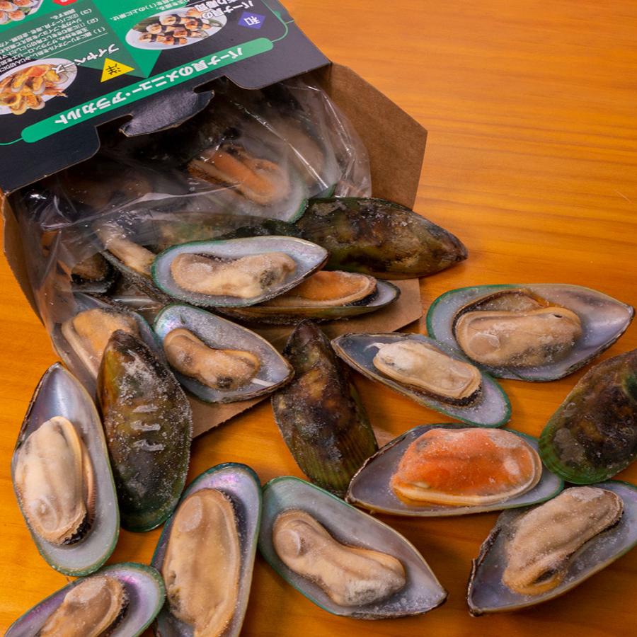 パーナ貝(グリーンシェルマッセル) 片貝26〜50粒入り 1Kg : 特正