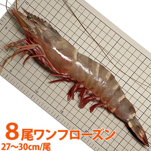 特大】スーパー・ジャンボ有頭シータイガー海老 約190g/尾 8尾 ワン