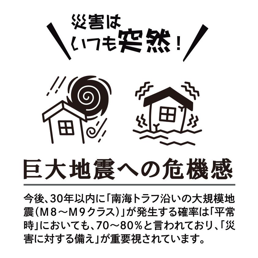あゆみシューズ公式 防災ルームシューズ 3E相当 4606 室内用（室内用靴 軽量 脱げにくい 履きやすい オールシーズン） |  | 10