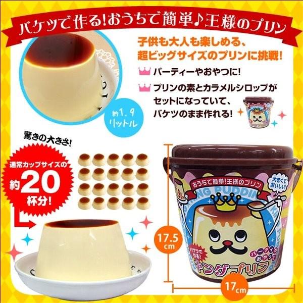 ピーナッツクラブ バケツでつくる キングプリン Ka 001 超ビッグサイズのプリンに挑戦 トキワカメラyahoo 店 通販 Yahoo ショッピング