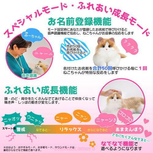 デジレクト あなたのパートナー しっぽふりふり あまえんぼうねこ
