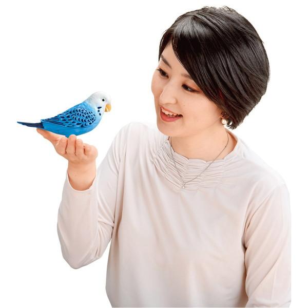 タカラトミー（TAKARA TOMY） 【すぐに遊べる電池もプレゼント