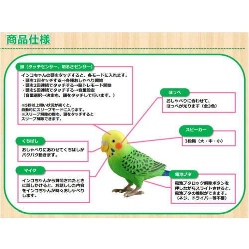 タカラトミー（TAKARA TOMY） 【すぐに遊べる電池もプレゼント