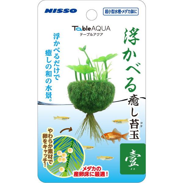 テーブルアクア 浮かべる癒し苔玉 壹(イチ) : トキワカメラYahoo!店 - 通販 - Yahoo!ショッピング