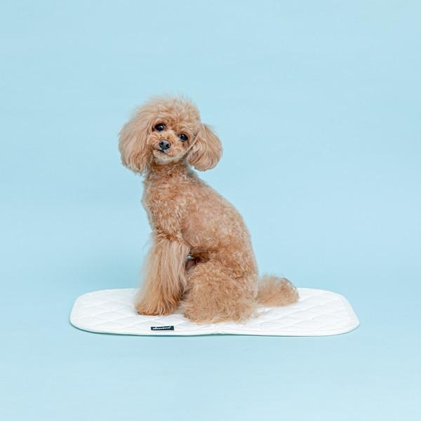 HappyDays ベッドにも使える消臭マット S : トキワカメラYahoo!店