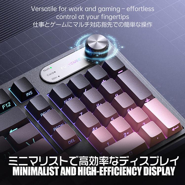 メカニカル風キーボード 有線 RGB 防水設計 98キー サイド刻印 静音