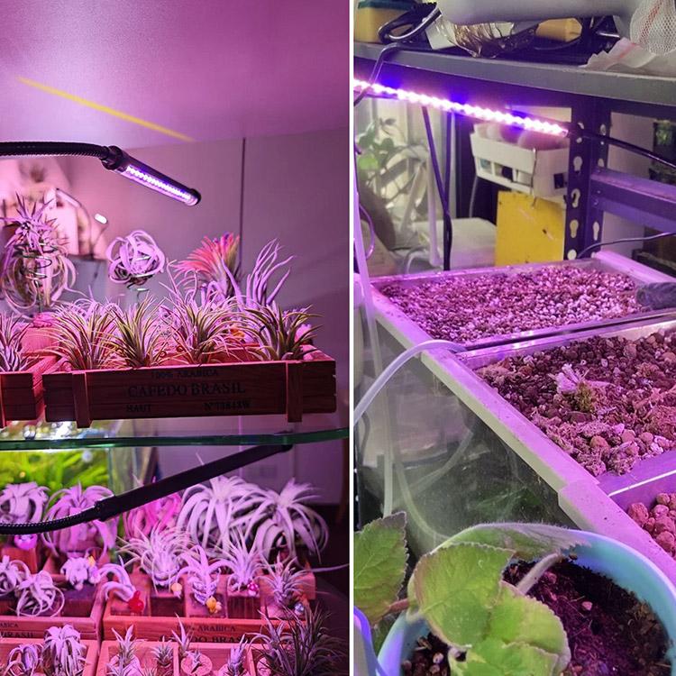 植物育成ライト 屋内植物ライトLED 10段階調光 USB給電 植物用 栽培