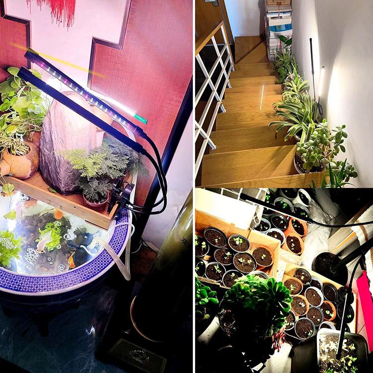 植物育成ライトLED フルスペクトル 10段階調光 USB給電 栽培ライト 360 