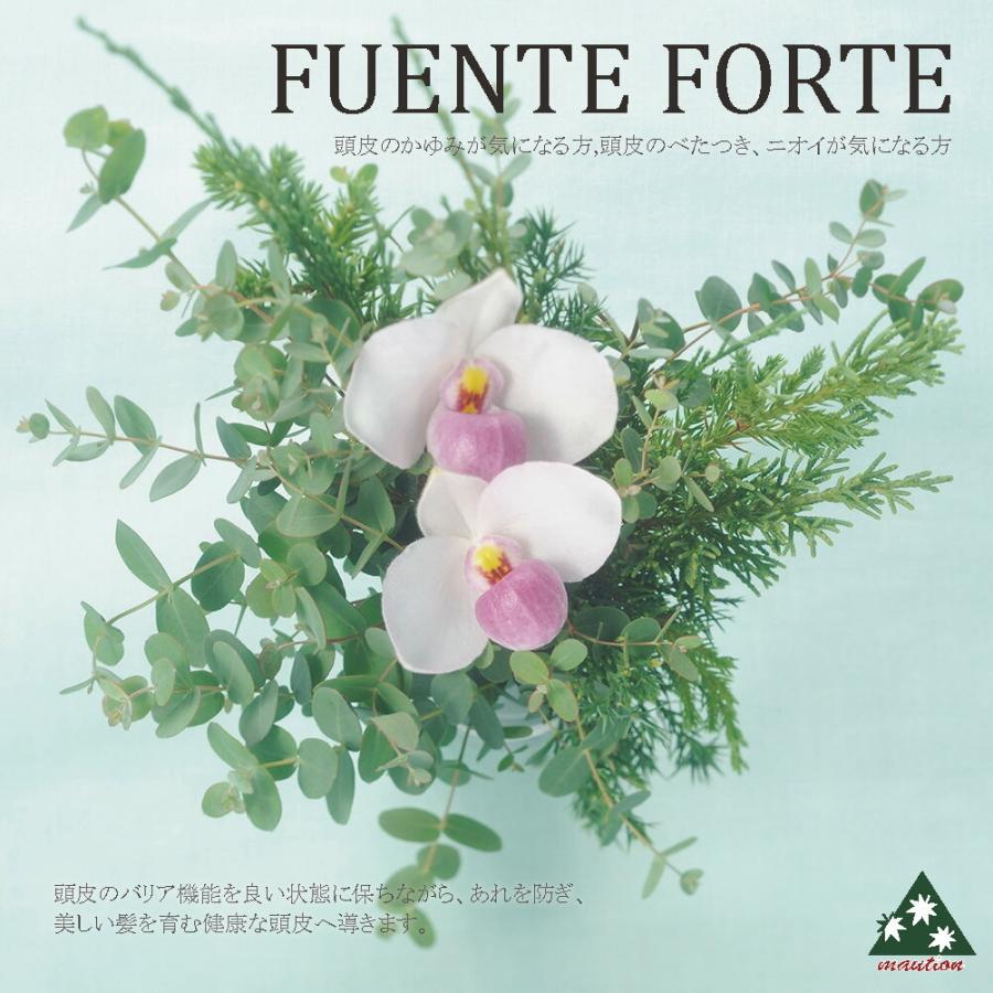 FUENTE FORTE 正規品 資生堂 プロフェッショナル フェンテ
