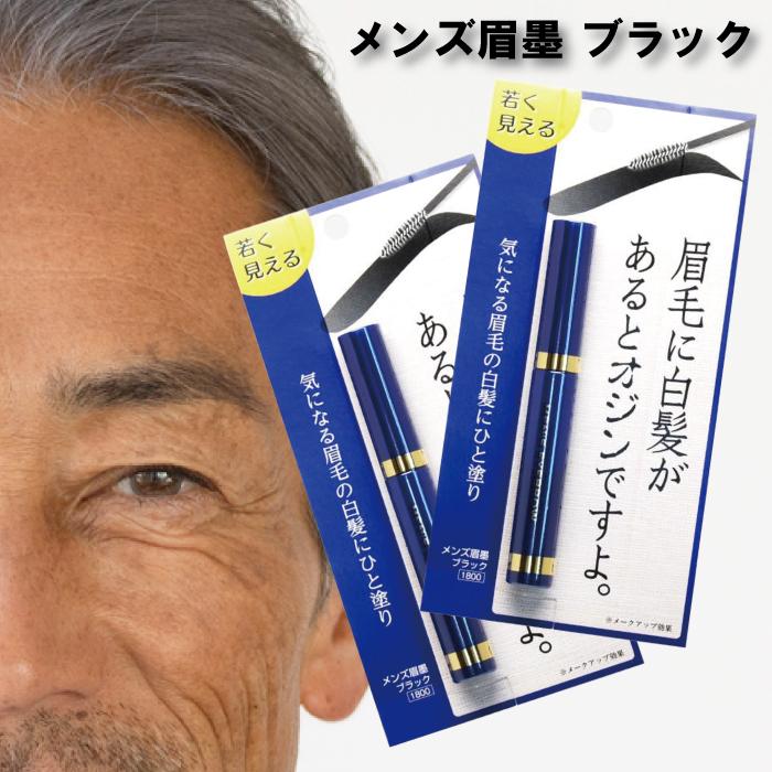ビナ薬粧 【お得な2本セット】 メンズ眉墨 ブラック アイブロウ