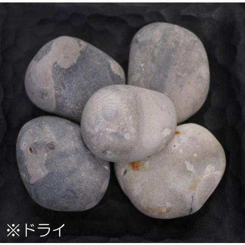 楽天カード分割 砂利 ニューフレンチコブル 8袋セット 個人様への配達 最寄り西濃運輸の営業所止め 法人様への配達 会社ご住所にお届け 車上お渡しリフト要 最新コレックション Orientalweavers Com