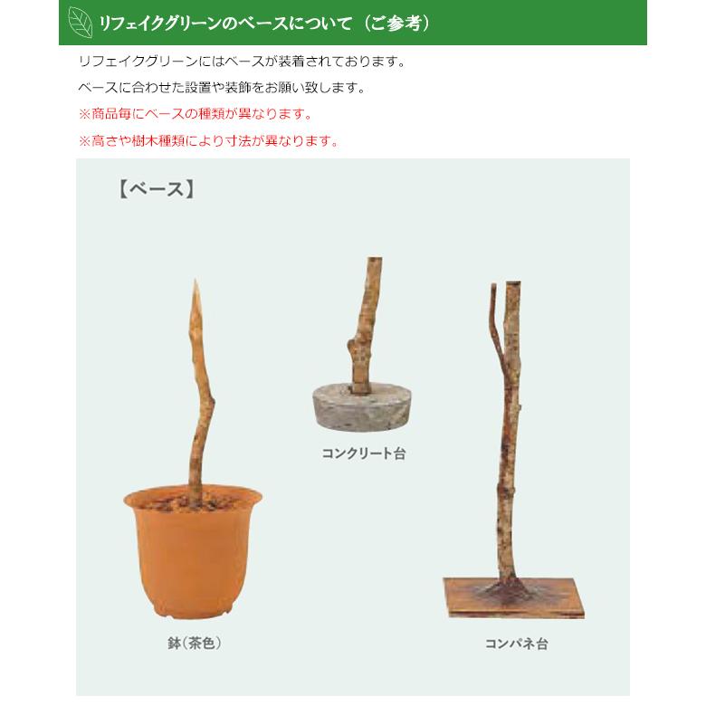 リフェイクグリーン 「ハワイアンフィカス」H1500mm　品番：A70ND065　ベース：鉢orコンクリート台orコンパネ台付き　屋内用【人工樹木、グローベン社】_4