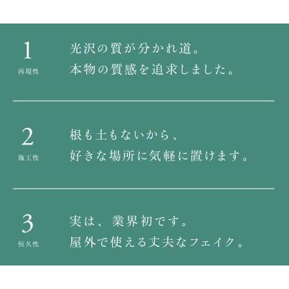 リフェイクグリーン 「青竹（5本立）」H1800mm　品番：A70NT068　ベース：鉢orコンクリート台orコンパネ台付き　屋内用【人工樹木、青竹、グローベン社】_2