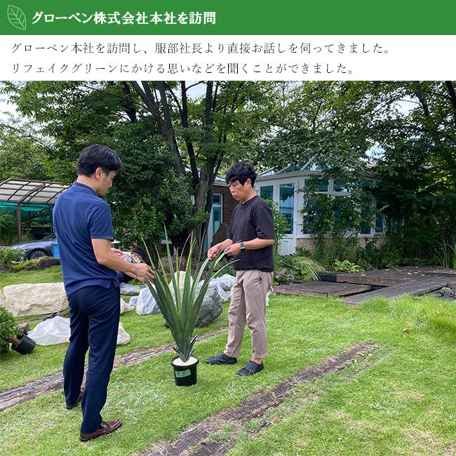 リフェイクグリーン 「ドウダンツツジ」H1500mm　専用鉢H150　φ170　コンクリート充填　品番：A70TN115　屋内用【人工樹木、ドウダンツツジ、グローベン社】_7