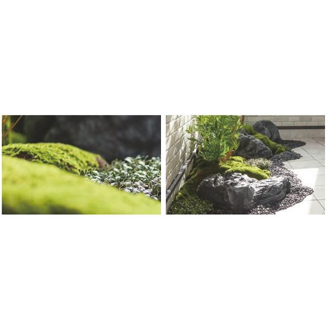 リフェイクグリーン 「モスシート」900×1800mm　品番：A70TN600　屋内用【植物、人工植物、人工樹木、苔、人工苔、苔シート、モスシート、グローベン社】_1