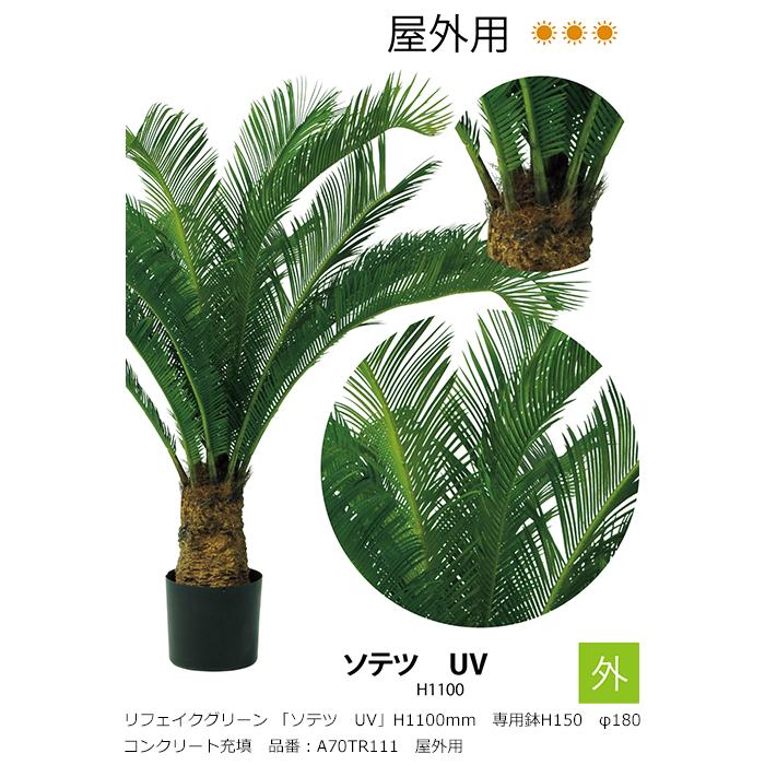 リフェイクグリーン 「ソテツ UV」H1100mm 専用鉢H150 φ180