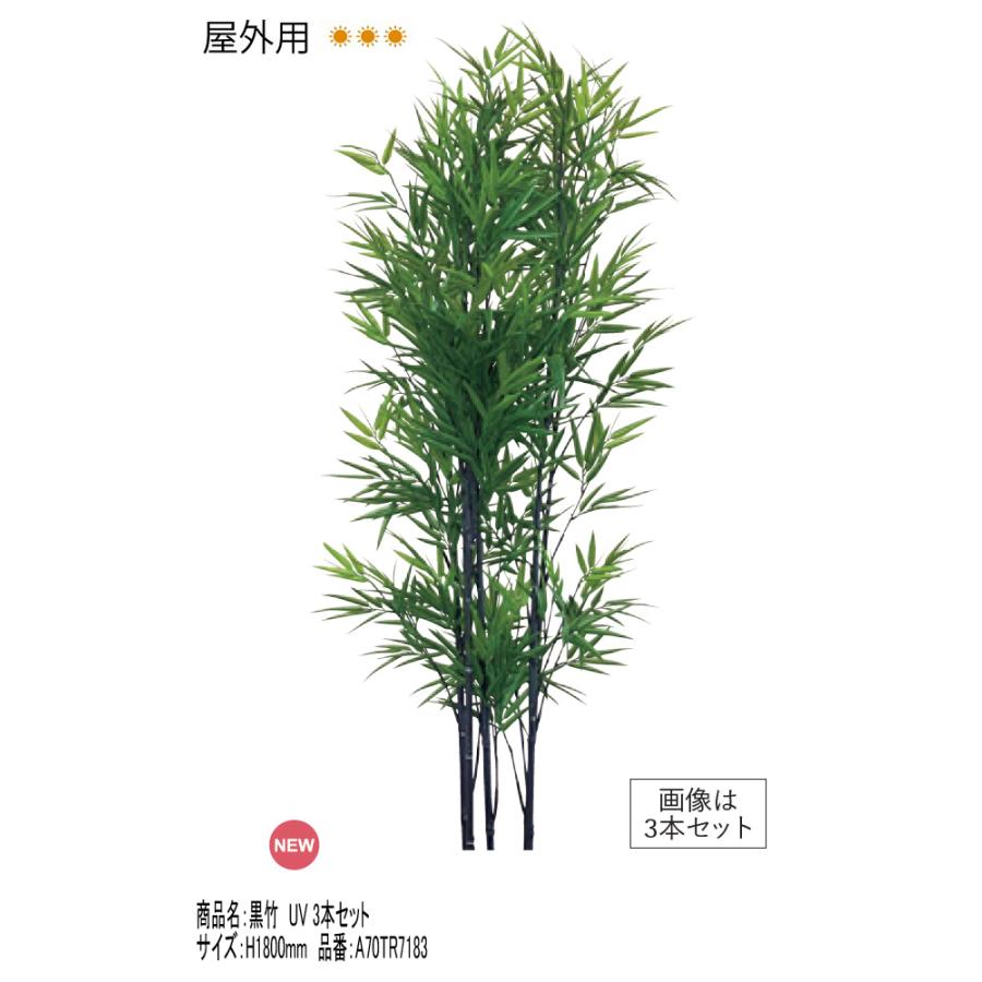 リフェイクグリーン 「黒竹UV 3本セット（台なし）」H1800mm 品番