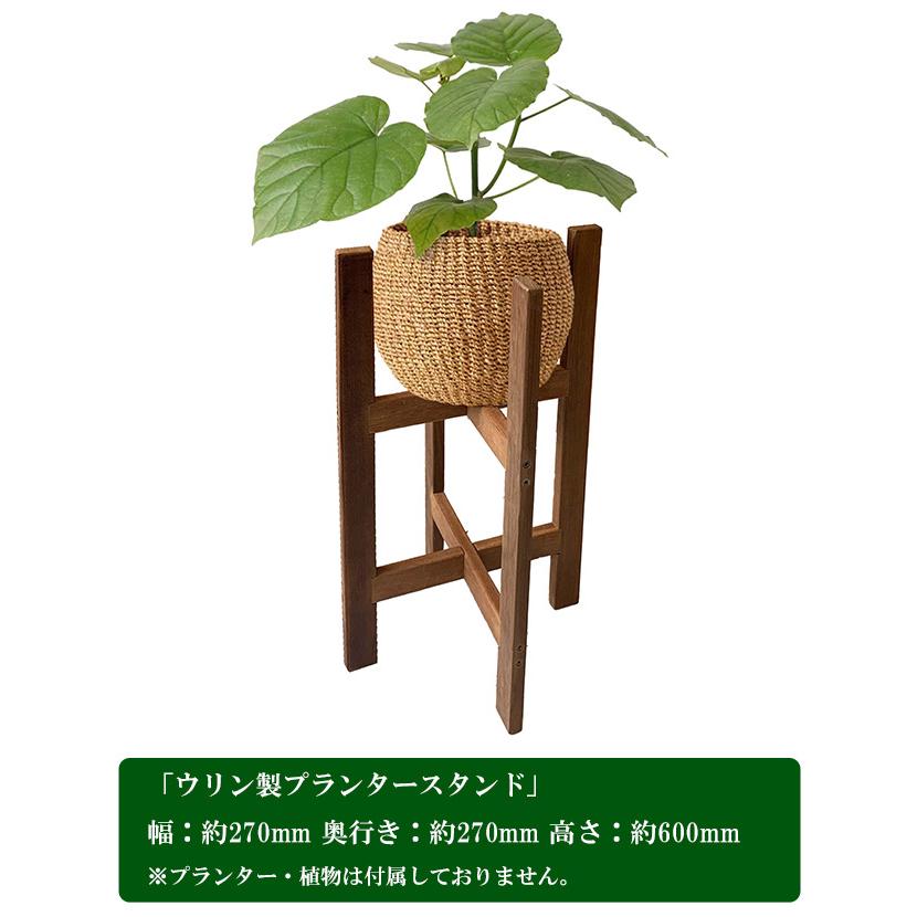 天然木ウリン材】ウリン製プランタースタンド 幅約270mm×奥行き約270mm