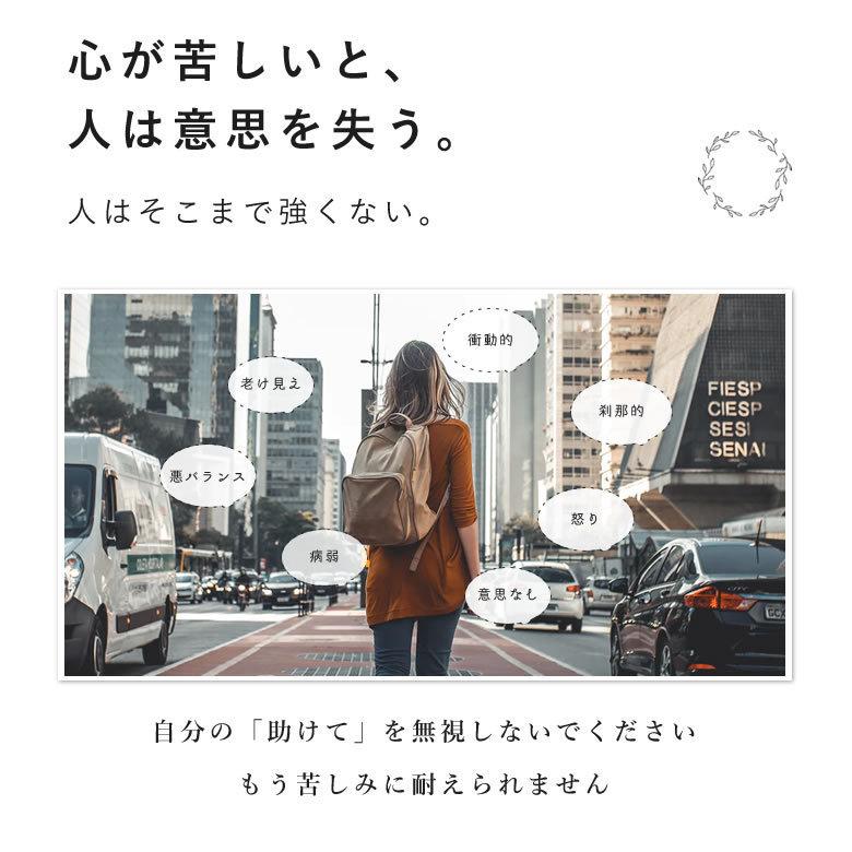心の悲鳴 ケアできてる たっぷりストレスルーサポート 150粒入 サプリメント 副腎疲労 エゾウコギ ホーリーバジル 01 077 05 イライラ とストレスのハレバレ 通販 Yahoo ショッピング
