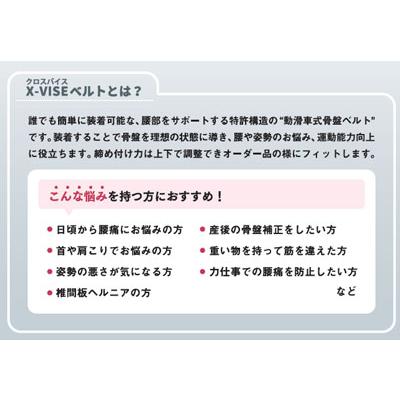 Lynx リンクス 正規品 X-VISE クロスバイズ 動滑車式骨盤ベルト 2024 X-VISE グレー_5