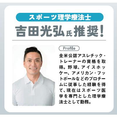 Lynx リンクス 正規品 X-VISE クロスバイズ 動滑車式骨盤ベルト 2024 X-VISE グレー_6