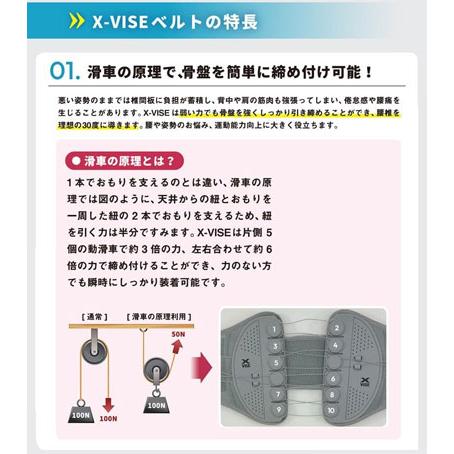 Lynx リンクス 正規品 X-VISE クロスバイズ 動滑車式骨盤ベルト 2024 X-VISE グレー_7