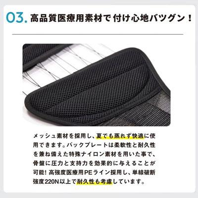Lynx リンクス 正規品 X-VISE クロスバイズ 動滑車式骨盤ベルト 2024 X-VISE グレー_9