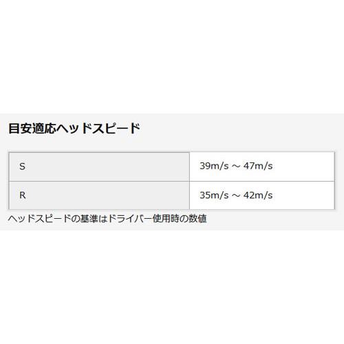 ゼクシオ イレブン 【特注】XXIO11 ゼクシオイレブン アイアン ゼクシオ イレブン 【特注】XXIO11 ゼクシオイレブン アイアン