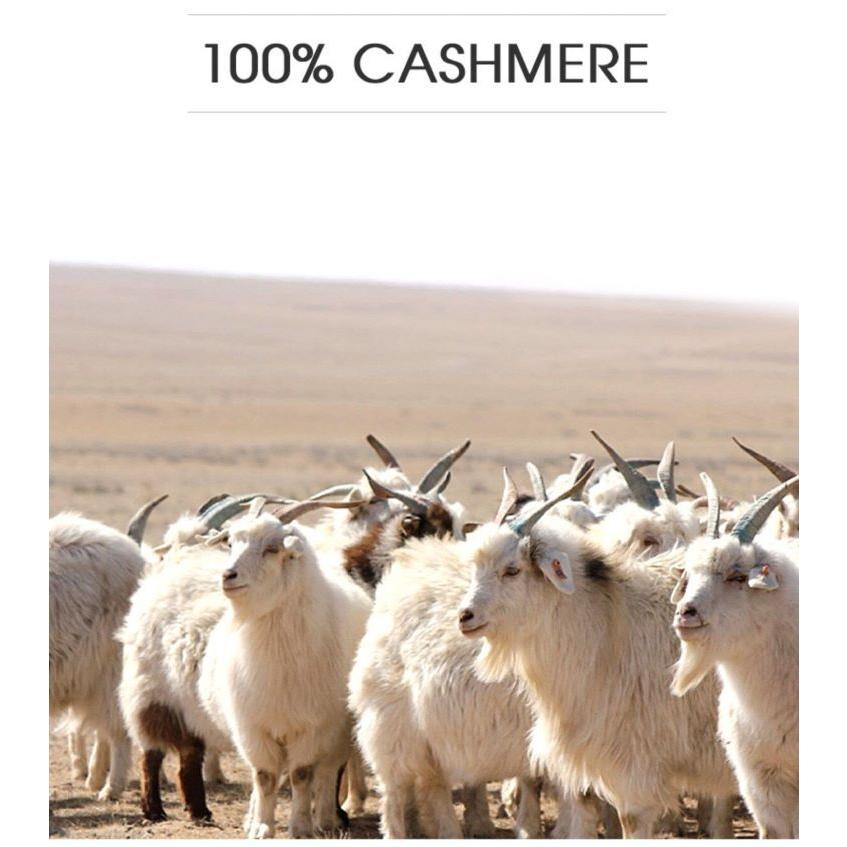 カシミヤ100％ メンズ Vネック ベスト ノースリーブセーター ニット ノースリーブ カシミヤセーター cashmere カシミヤ カシミア セーター  紳士 男性｜tokyo-happyland｜08