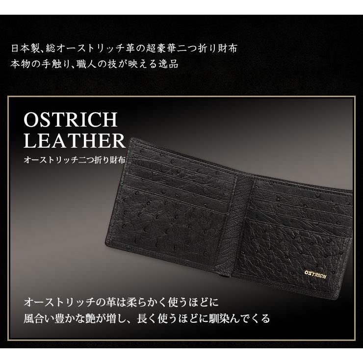 財布 オーストリッチ 二つ折り財布 オーストリッチ財布 小銭入れなし