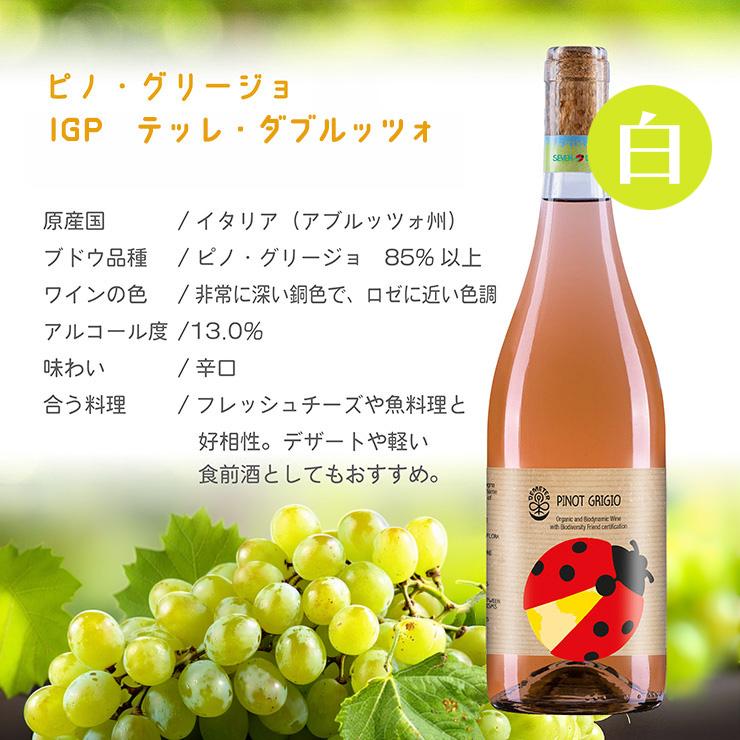 ワイン オーガニック イタリア セブン・ドッツ ピノ・グリージョIGP 1