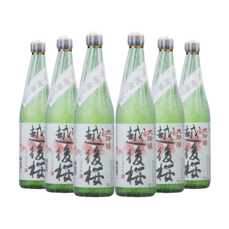 驚きの値段 素敵な 送料無料 越後桜酒造 株 大吟醸 越後桜 720ml×6本 日本酒 大吟醸酒 italytravelpapers.com italytravelpapers.com