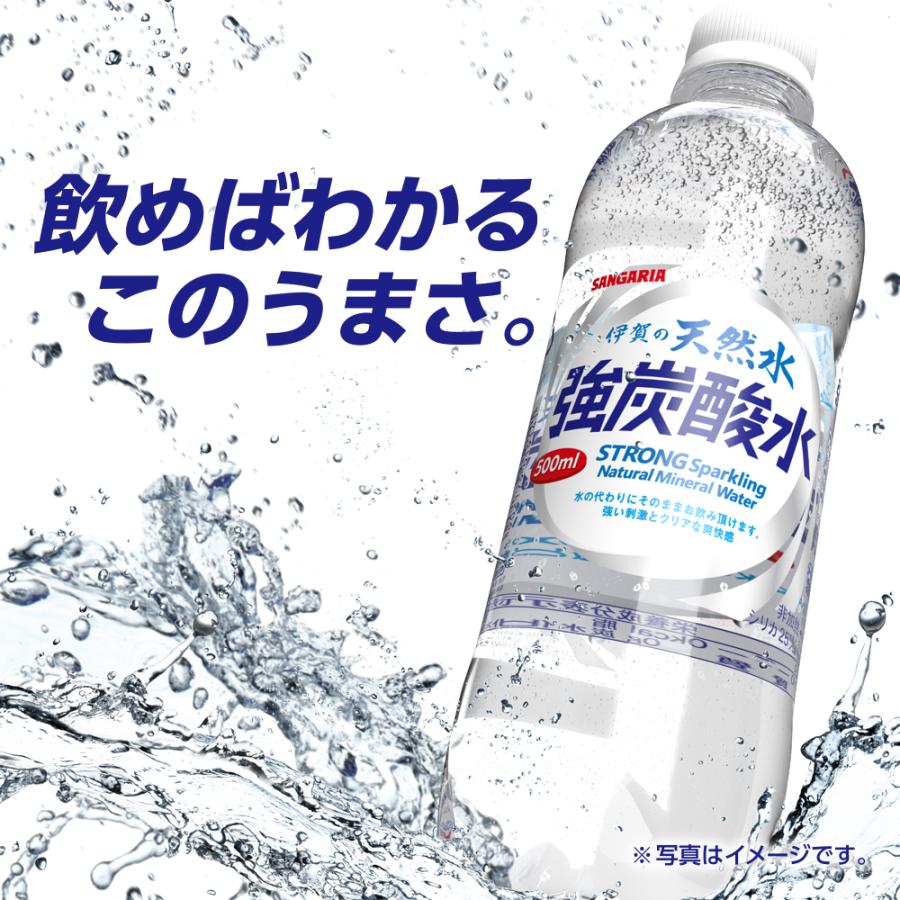 炭酸水 サンガリア 伊賀の天然水 強炭酸水 500ml 48本 24本入 2ケース お得 セット 強炭酸 水 軟水 割材 天然水 送料無料｜tokyo-syusui｜05