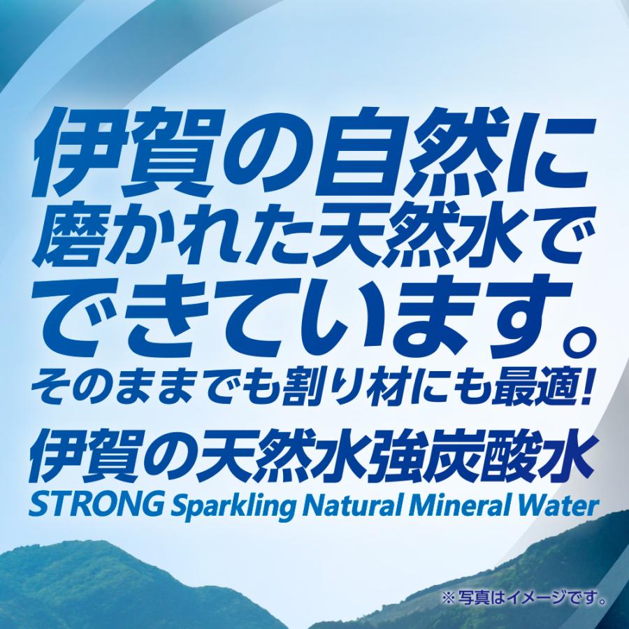 炭酸水 サンガリア 伊賀の天然水 強炭酸水 レモン 500ml 48本 24本入 2ケース セット 強炭酸 水 軟水 割材 天然水 送料無料｜tokyo-syusui｜03