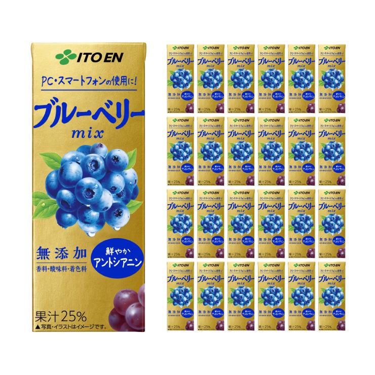伊藤園 エコパック ブルーベリーミックス (紙パック) 200ml 24本 送料