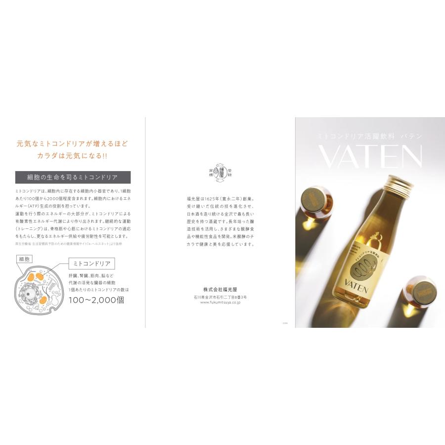 【レビューキャンペーン対象】父の日 プレゼント 2024 エナジードリンク 福光屋 VATEN バテン 100ml 30本 栄養ドリンク 無添加 ノンカフェイン 送料無料｜tokyo-syusui｜04